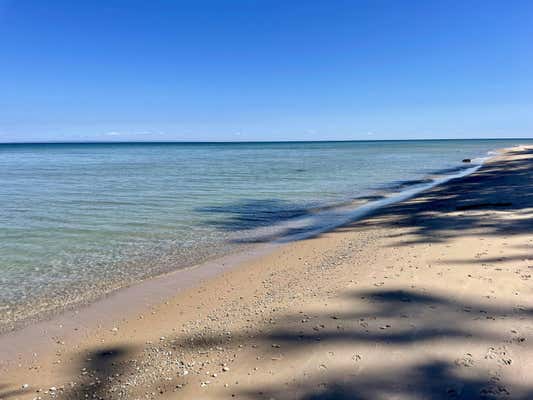 LOT 9 E EAST SIDE DRIVE, BEAVER ISLAND, MI 49782 - Image 1