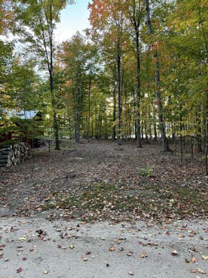 LOT 76 W BIRCH SHORES DRIVE, TROUT LAKE, MI 49793, photo 2 of 9