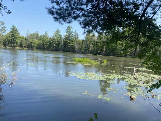 LOT 4 FUNK ROAD # THUNDER BAY RIVER WATERFRONT, HILLMAN, MI 49746 - Image 1