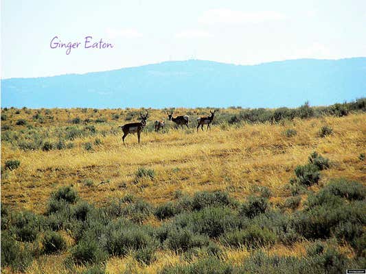 TRACT 496 BB BROOKS BOULEVARD, CASPER, WY 82601 - Image 1