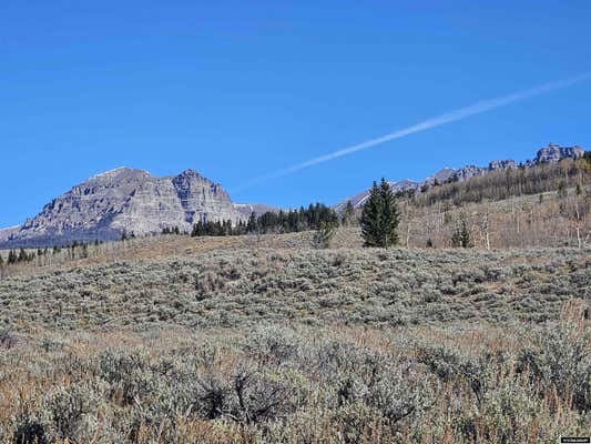 RAMSHORN RANCH ROAD, DUBOIS, WY 82513 - Image 1