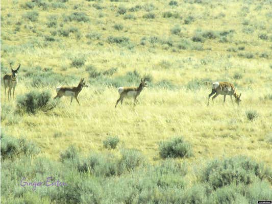 6825 BB BROOKS BLVD, CASPER, WY 82601, photo 5 of 7