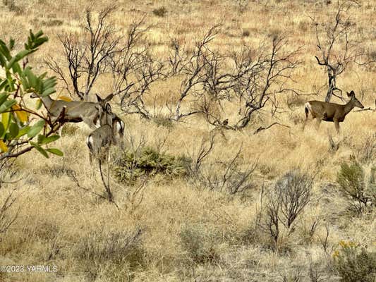 NKA N WENAS RD # LOT 4, SELAH, WA 98942, photo 3 of 4