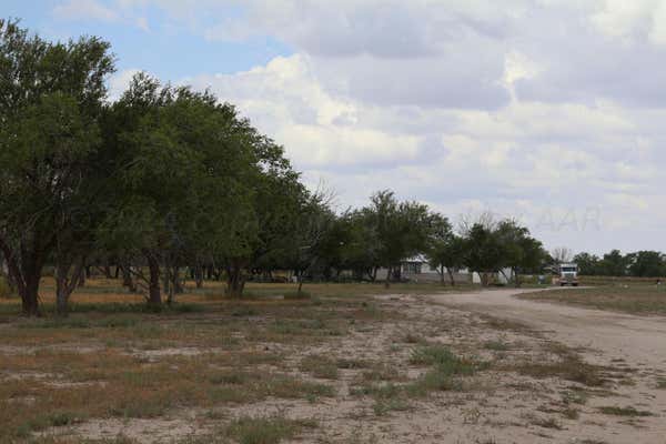 1981 COUNTY ROAD 1048, MULESHOE, TX 79347, photo 2 of 18