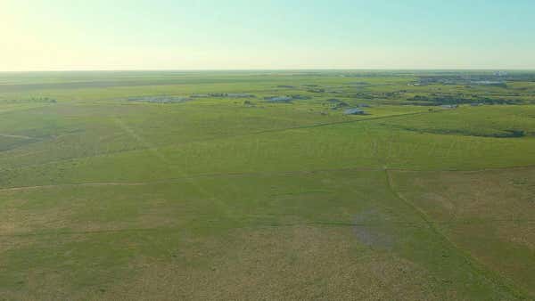 250 FLINT ACRES DRIVE, DUMAS, TX 79029 - Image 1