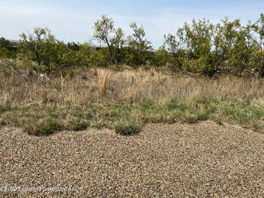 LOT 1 BLK 12 ON TRINITY LANE, FRITCH, TX 79036, photo 5 of 25