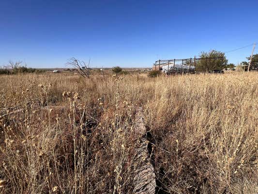 223 BOAT RAMP RD, FRITCH, TX 79036, photo 3 of 11