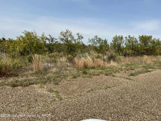 LOT 1 BLK 12 ON TRINITY LANE, FRITCH, TX 79036, photo 4 of 25