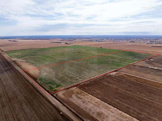 40 ACRES HALE RD, CANYON, TX 79015 - Image 1