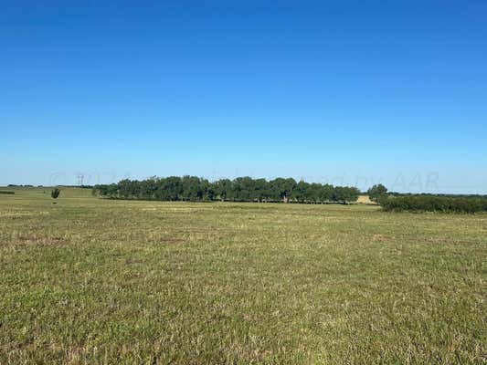 28.73 ACRE US HWY 83, WELLINGTON, TX 79095 - Image 1