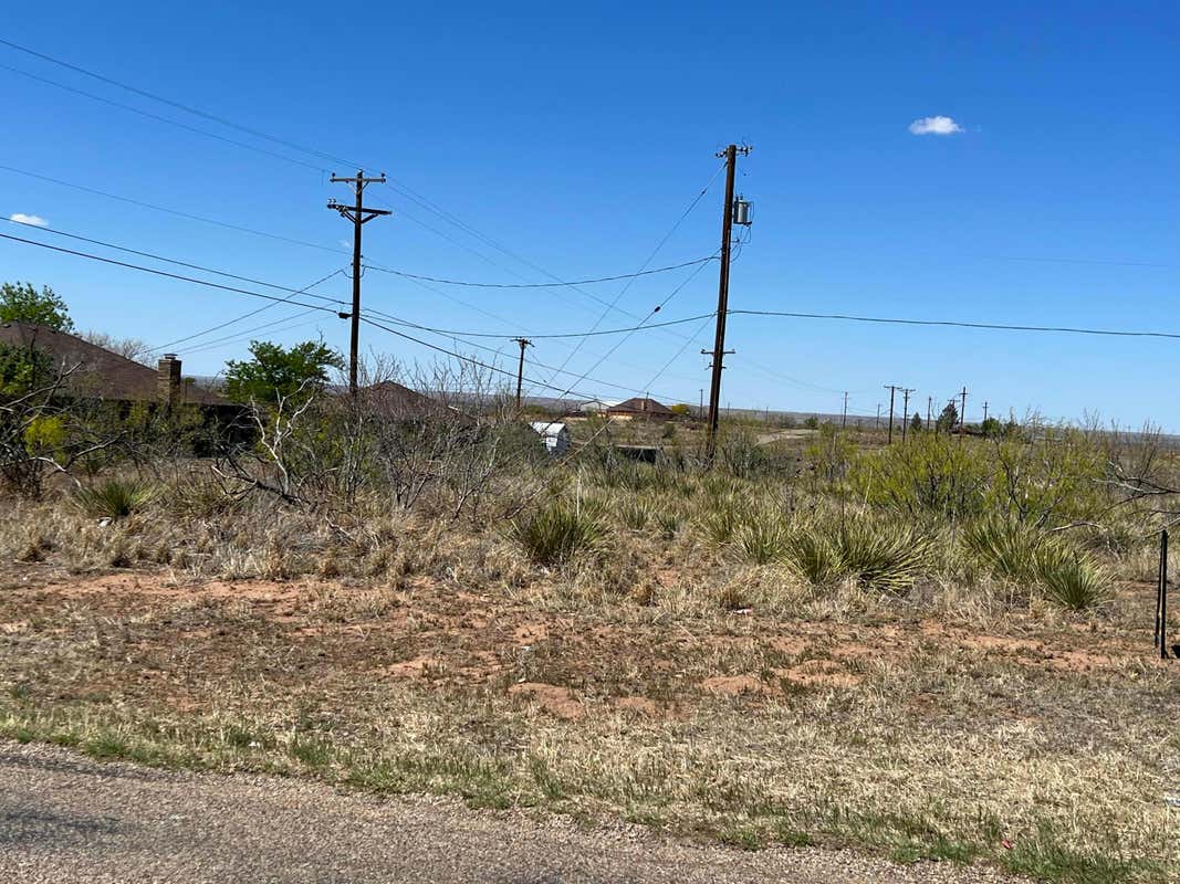 LOT 46 LAKEVIEW DRIVE, FRITCH, TX 79036, photo 1 of 6