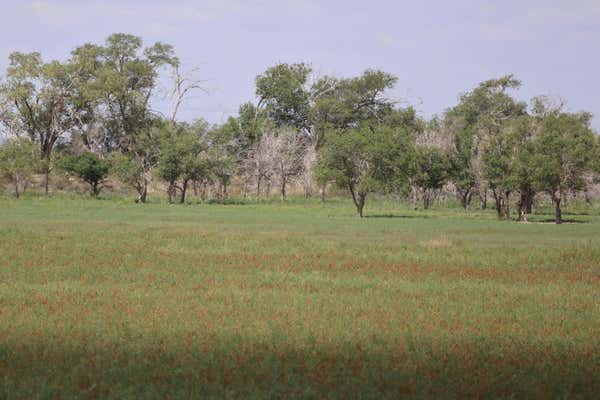 1981 COUNTY ROAD 1048, MULESHOE, TX 79347, photo 5 of 18