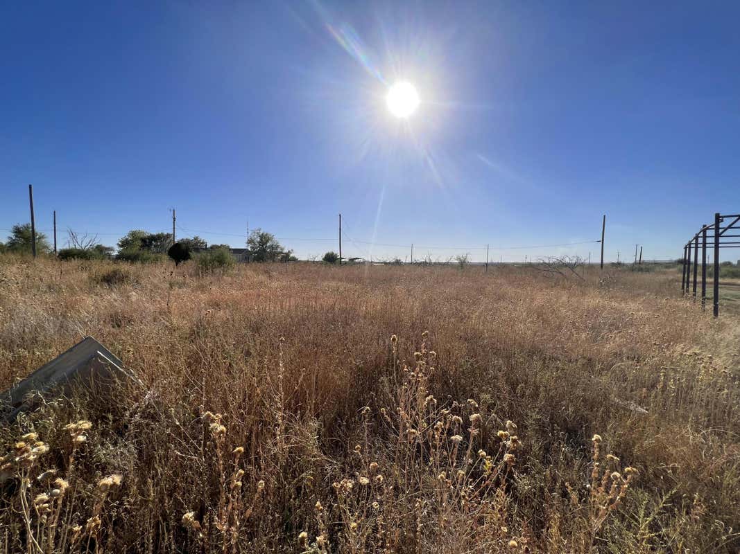 223 BOAT RAMP RD, FRITCH, TX 79036, photo 1 of 11