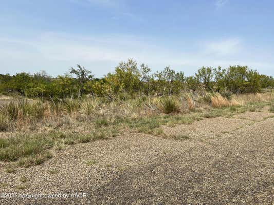 LOT 1 BLK 12 ON TRINITY LANE, FRITCH, TX 79036, photo 3 of 25