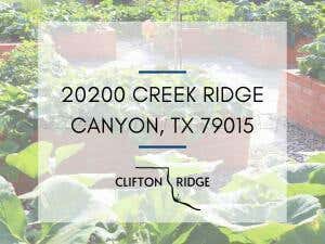 20200 CREEK RIDGE, AMARILLO, TX 79015 - Image 1