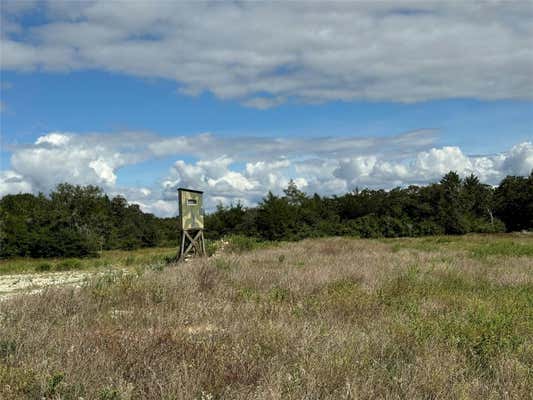 TBD OFF QUAIL RUN ROAD (+/- 50 ACRES), CALDWELL, TX 77836 - Image 1