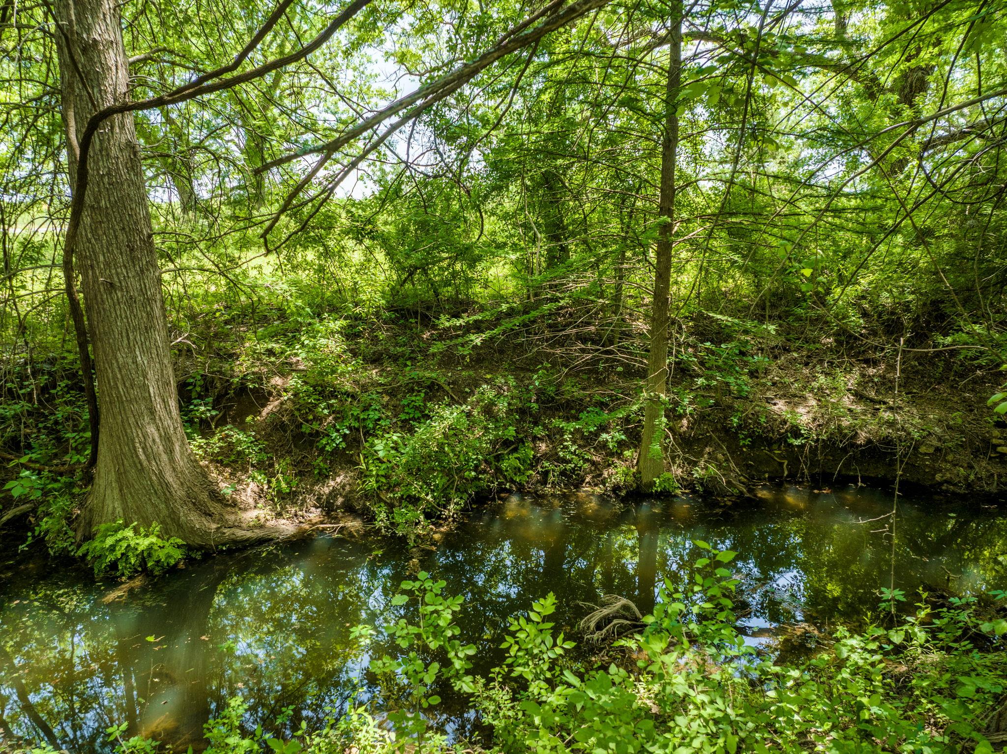Spicewood, Texas, 78669, United States, 4 Bedrooms Bedrooms, ,3 BathroomsBathrooms,Residential,Active,1987243