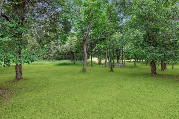 R12896 & R21163 BUSHDALE RD, ROCKDALE, TX 76567 - Image 1