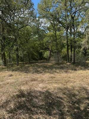 LOT 1564 TAHITIAN DR, BASTROP, TX 78602, photo 4 of 32