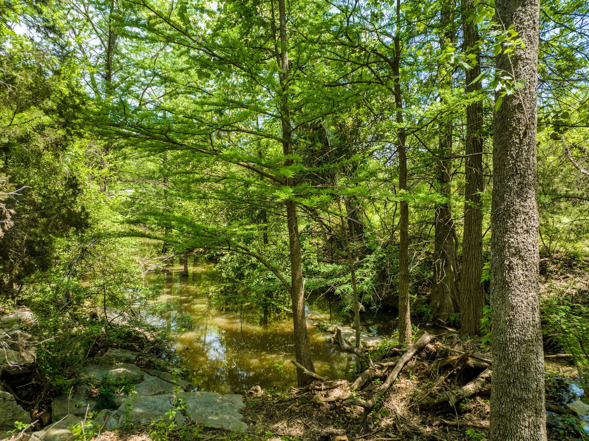 Spicewood, Texas, 78669, United States, 4 Bedrooms Bedrooms, ,3 BathroomsBathrooms,Residential,Active,1987243