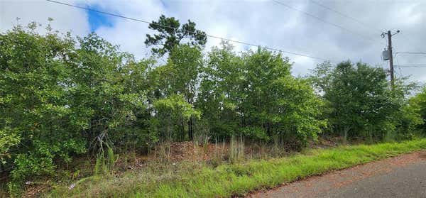 TBD HOMONU (LOT 105) CT, BASTROP, TX 78602 - Image 1