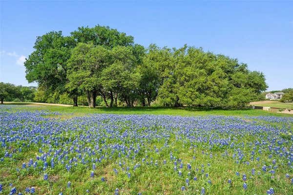 27132 FOUNDERS PL, SPICEWOOD, TX 78669, photo 2 of 25