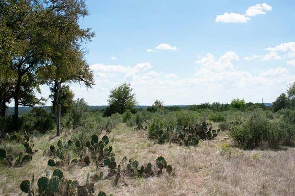 LOT 80 PRIVATE ROAD 4718, KEMPNER, TX 76539 - Image 1