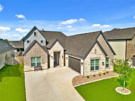 17312 AUTUMN FALLS DR, MANOR, TX 78653 - Image 1