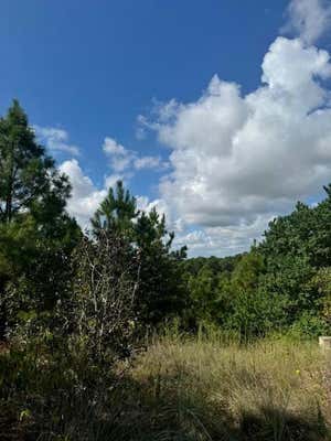 LOT 1223 KOLOIKI LN, BASTROP, TX 78602 - Image 1