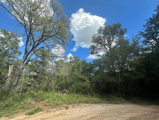 LOT 625 HILEA CT, BASTROP, TX 78602 - Image 1