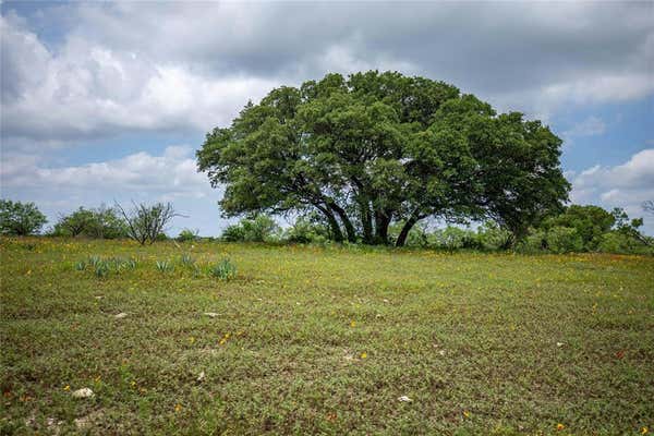 TRACT 2 COUNTY ROAD 292, EARLY, TX 76802 - Image 1