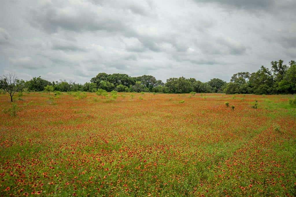 TRACT 1 TBD COUNTY ROAD 292, EARLY, TX 76802, photo 1 of 30