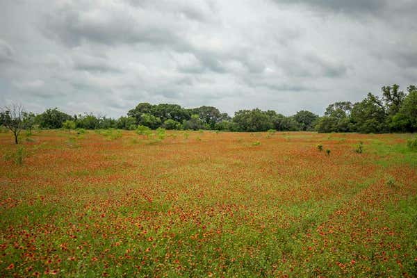 TRACT 1 TBD COUNTY ROAD 292, EARLY, TX 76802 - Image 1