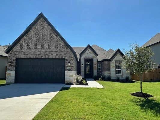 17217 AUTUMN FALLS DR, MANOR, TX 78653 - Image 1