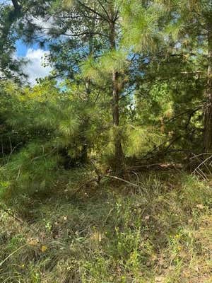 LOT 1338 TAHITIAN DR, BASTROP, TX 78602 - Image 1