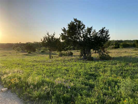 47-LOT E FLYING OWL DR, JOHNSON CITY, TX 78636 - Image 1