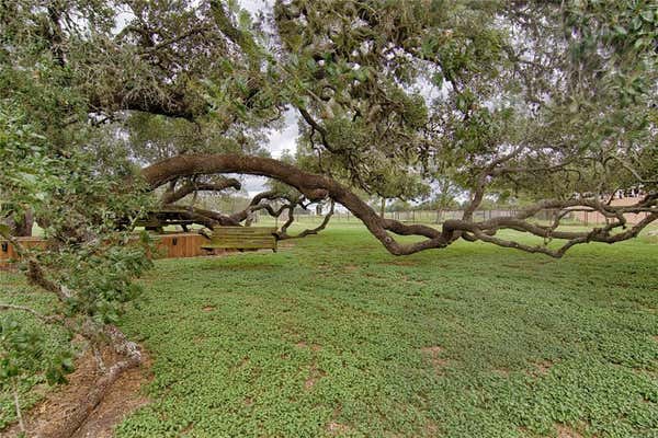 341 COUNTY ROAD 233, HALLETTSVILLE, TX 77964, photo 3 of 26