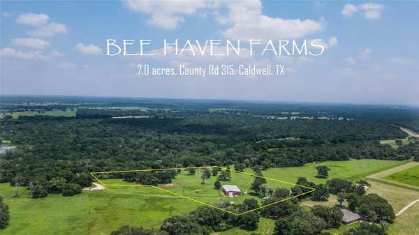 TBD COUNTY ROAD 315 (7.0 ACRES), CALDWELL, TX 77836 - Image 1