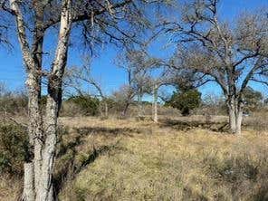 225 N PALEFACE RANCH RD, SPICEWOOD, TX 78669 - Image 1