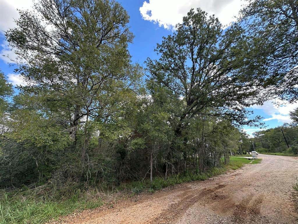 LOT 624 HILEA CT, BASTROP, TX 78602, photo 1 of 25