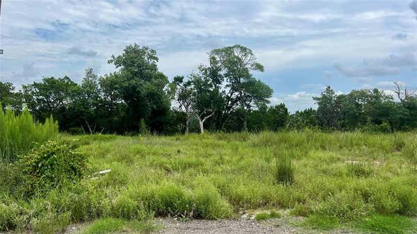 LOT 166 GRANDVIEW DR, JONESTOWN, TX 78645 - Image 1