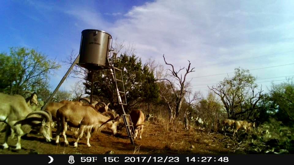 Burnet, Texas, 78611, United States, 2 Bedrooms Bedrooms, ,3 BathroomsBathrooms,Residential,Active,1989785