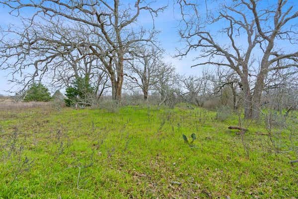 LOT 9 WITTER RD, DALE, TX 78616 - Image 1