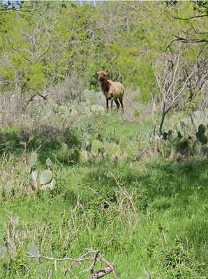 1988 COUNTY ROAD 116, ROGERS, TX 76569 - Image 1