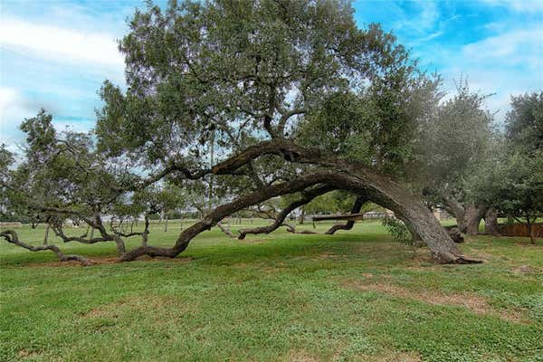 341 COUNTY ROAD 233, HALLETTSVILLE, TX 77964, photo 2 of 26