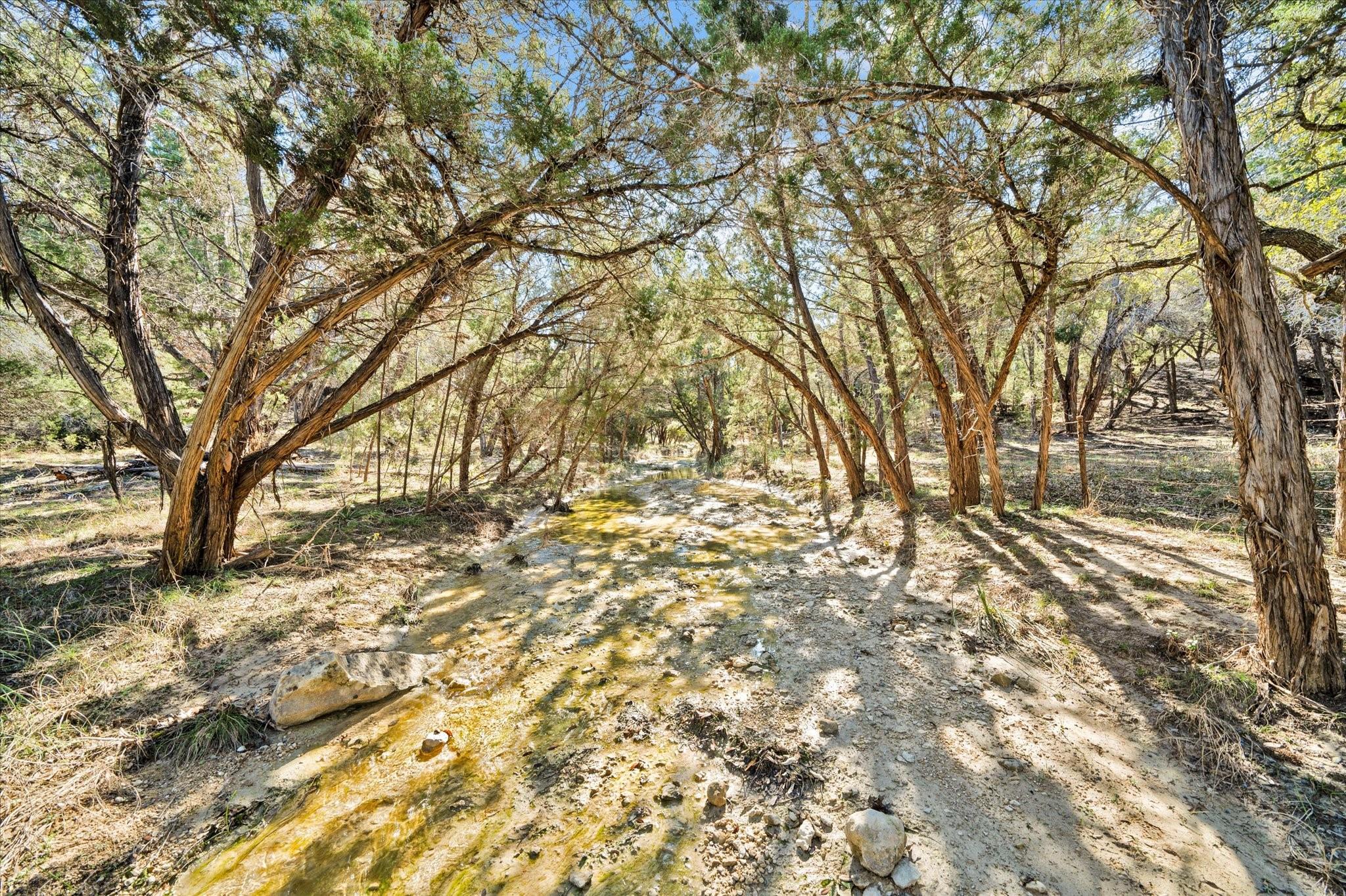 Dripping Springs, Texas, 78620, United States, ,3 BathroomsBathrooms,Residential,Active,1704418