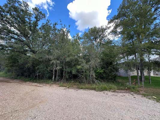 LOT 624 HILEA CT, BASTROP, TX 78602, photo 3 of 25