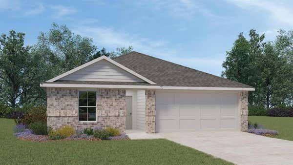 13817 CARPER DR, MANOR, TX 78653 - Image 1