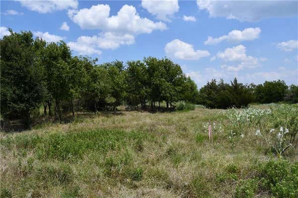 LOT 3 HCR 3363, MOUNT CALM, TX 76673 - Image 1