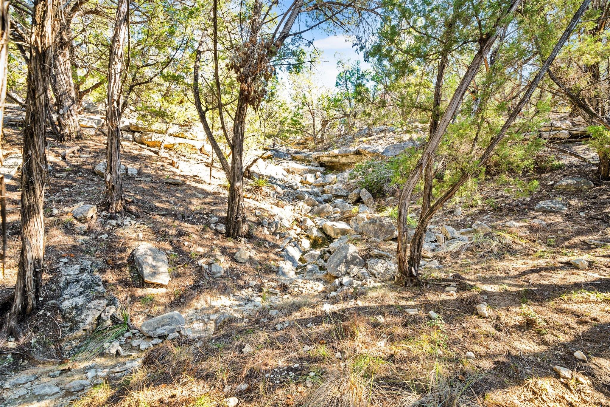 Dripping Springs, Texas, 78620, United States, ,3 BathroomsBathrooms,Residential,Active,1704418